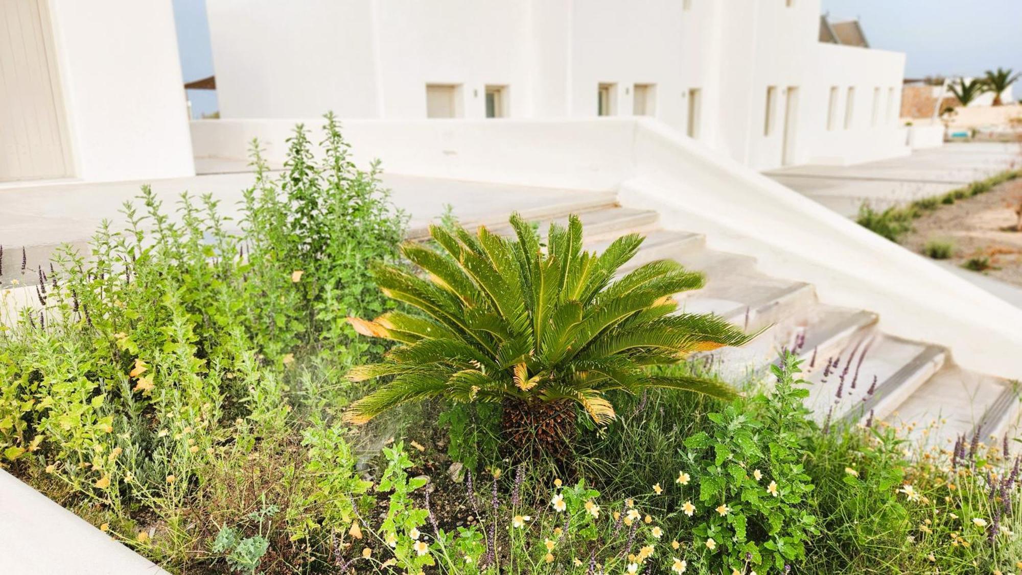 Hayal Suites Santorini Emporio  Экстерьер фото